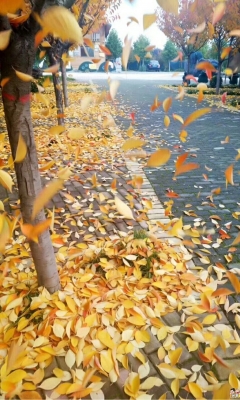 秋风扫落叶！