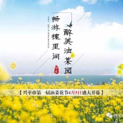 兴平市第一届油菜花节将于4月5日开幕，约起来吧！